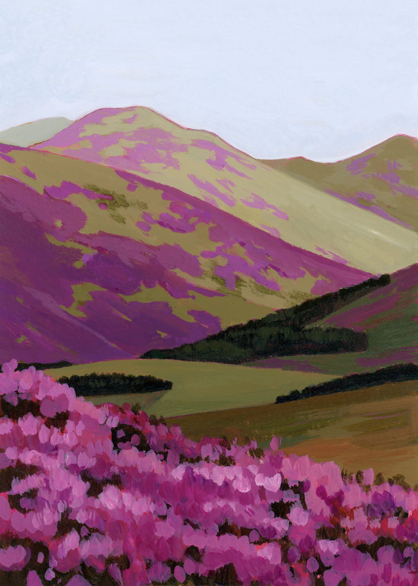 'Where The Heather Blooms' Print