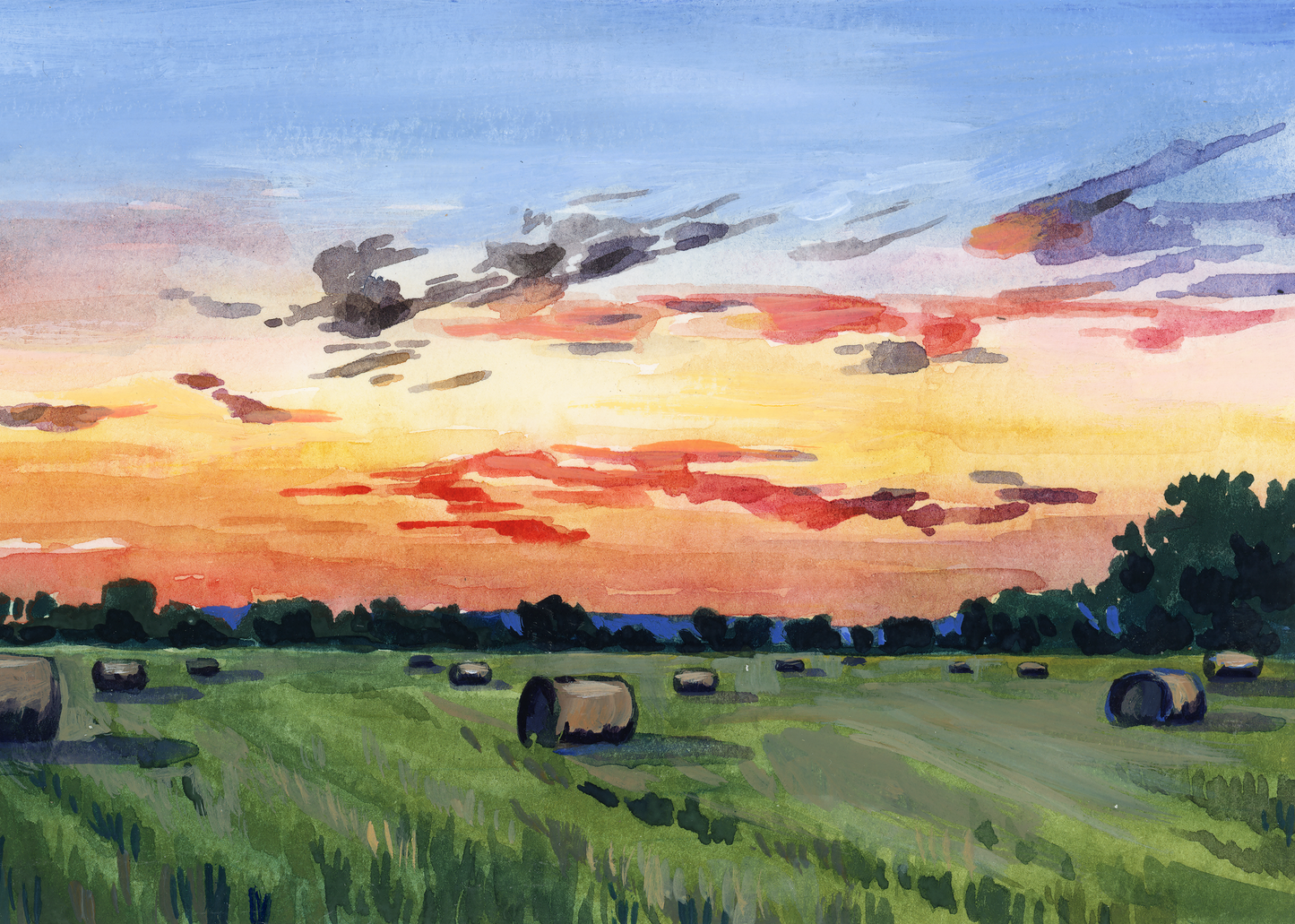 8x10" Landscape Misprints