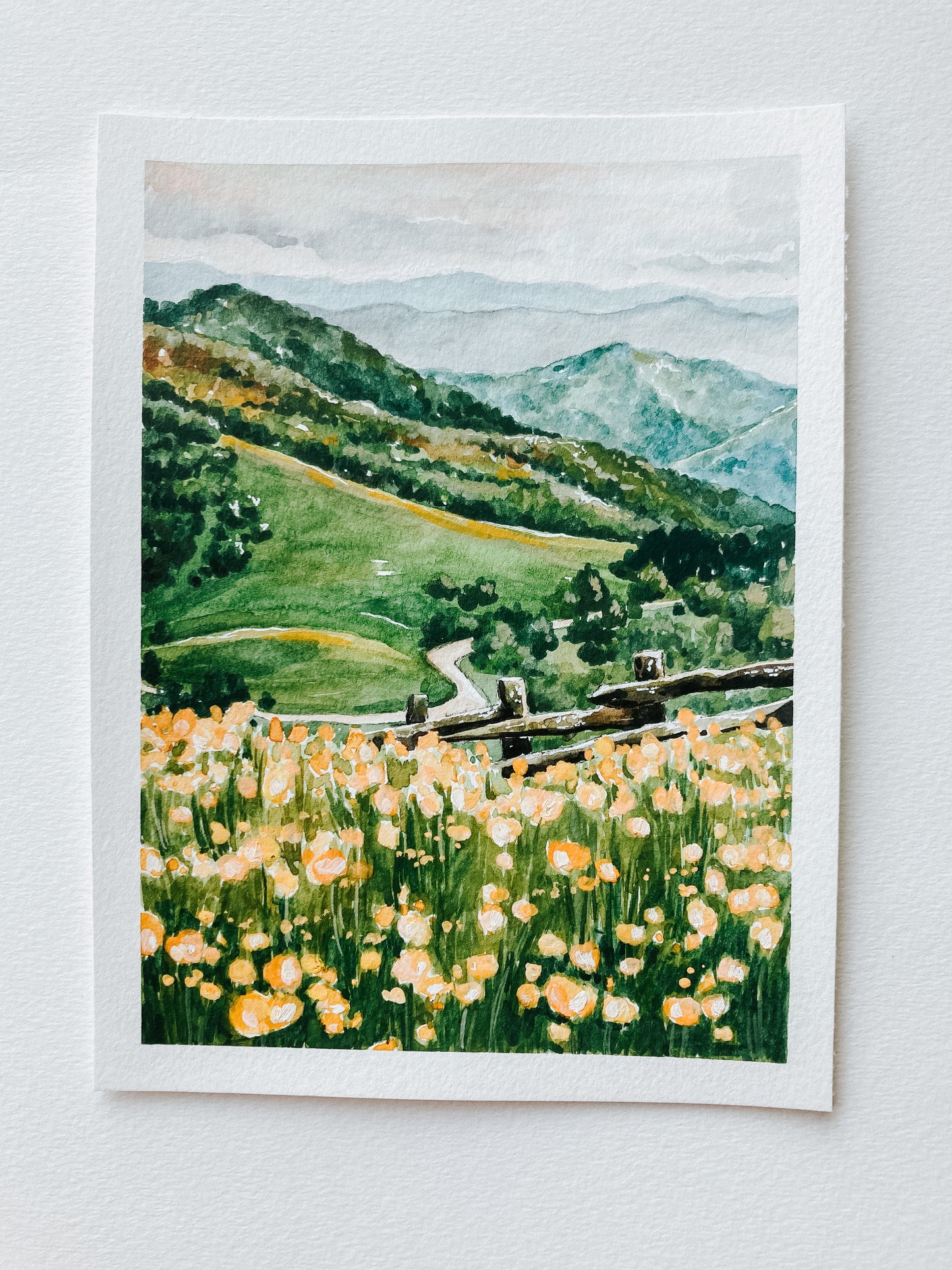 A Beautiful Journey (Maggie Valley, NC)