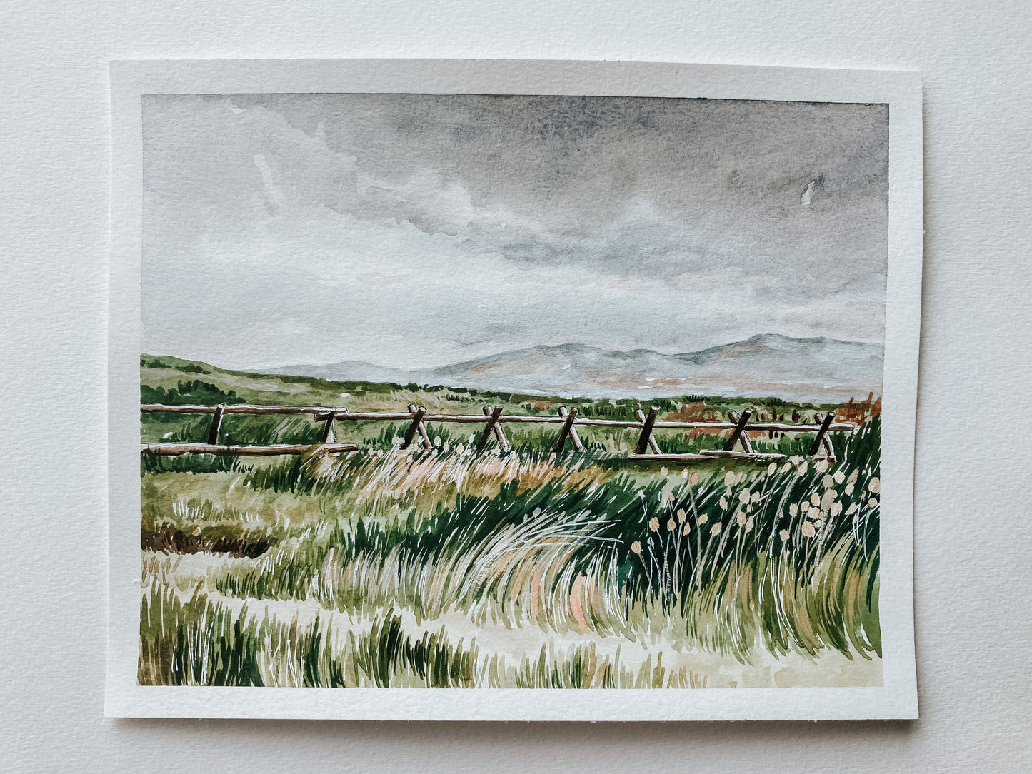 Through Windswept Fields (Jackson Hole, WY)