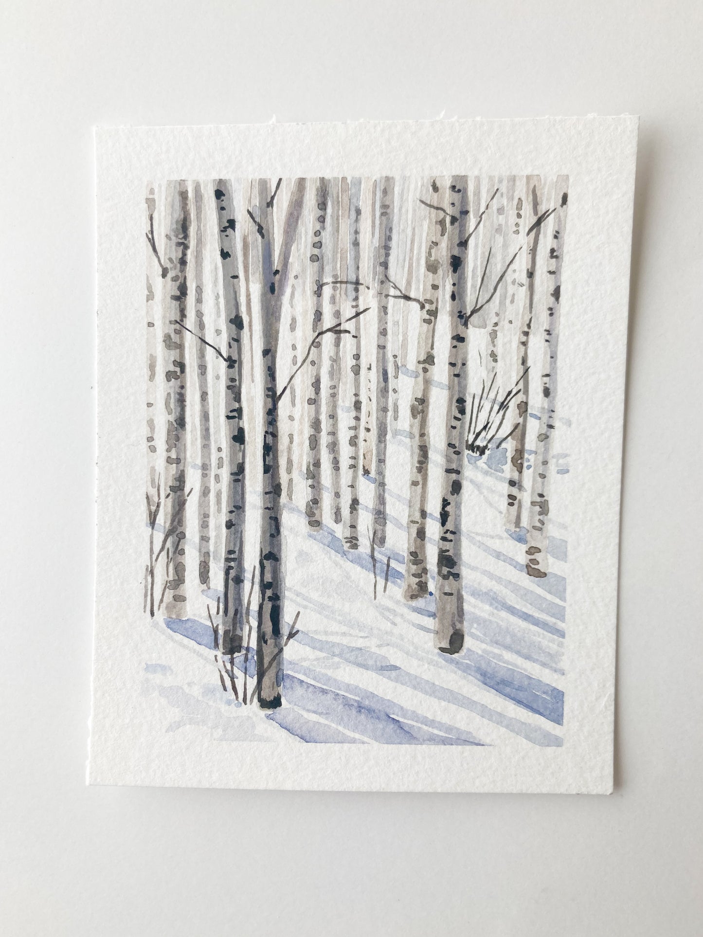 The Birches In Winter Print