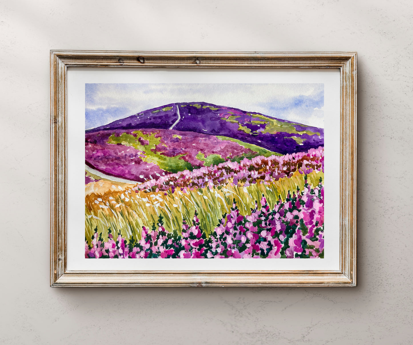Fields of Heather