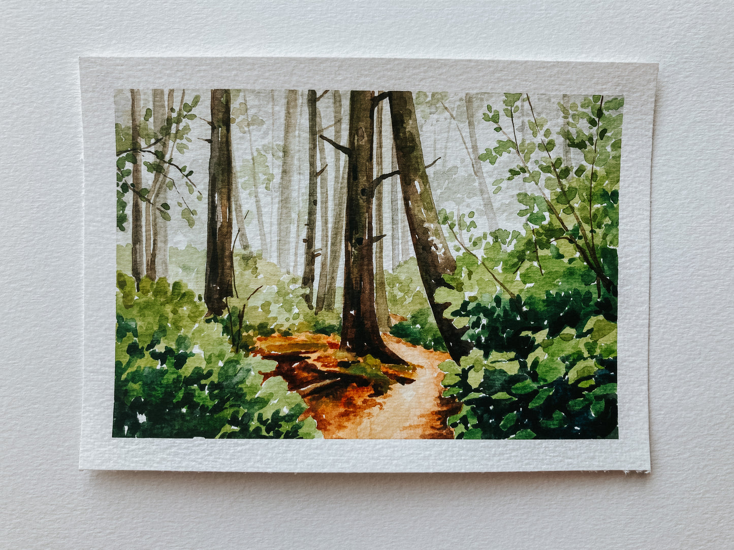 In The Woods (The Washington Coast)