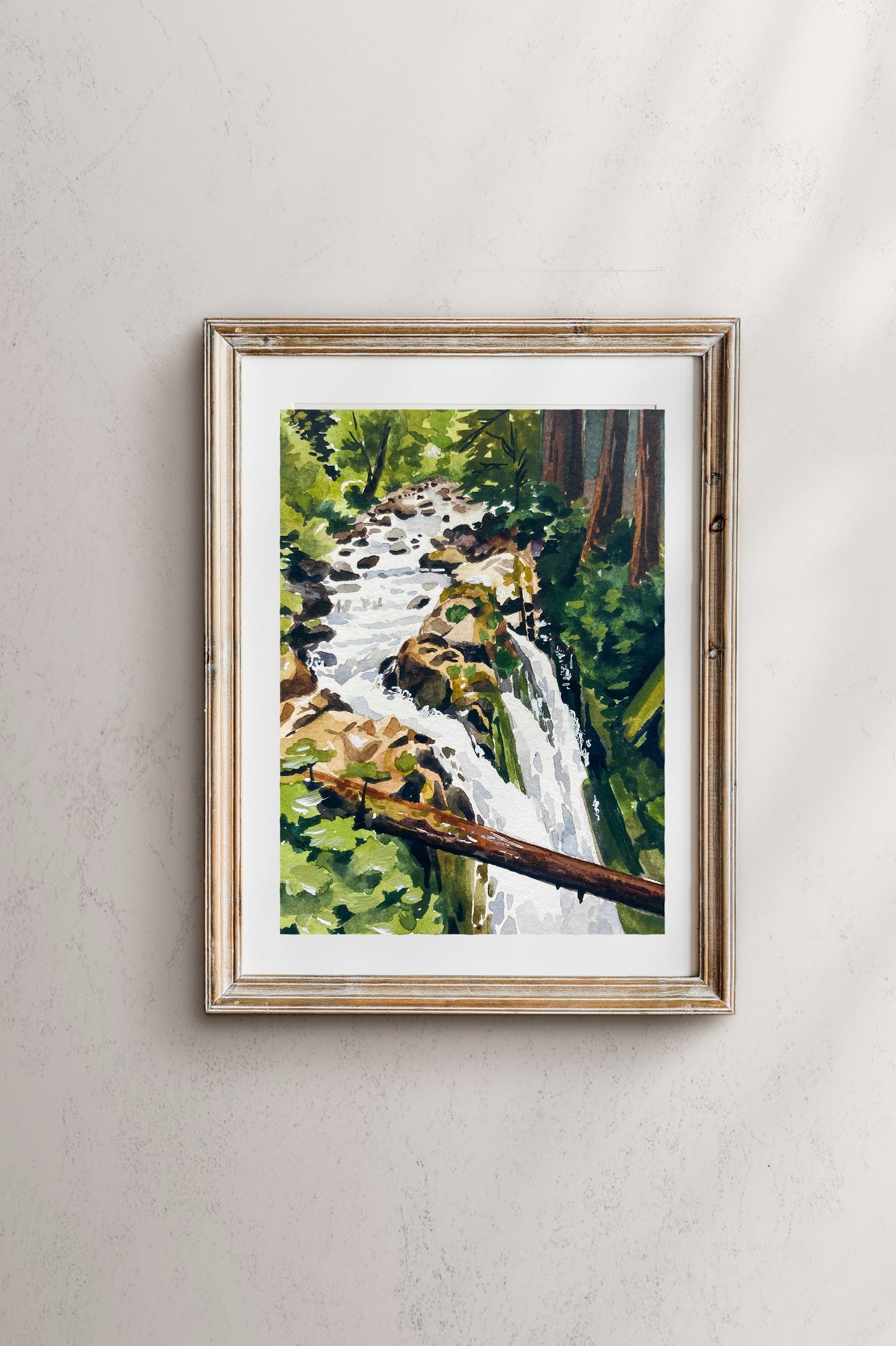 Olympic National Park print