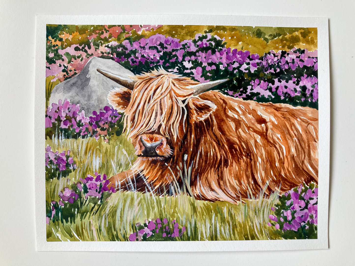 Highland Coo In Flowers