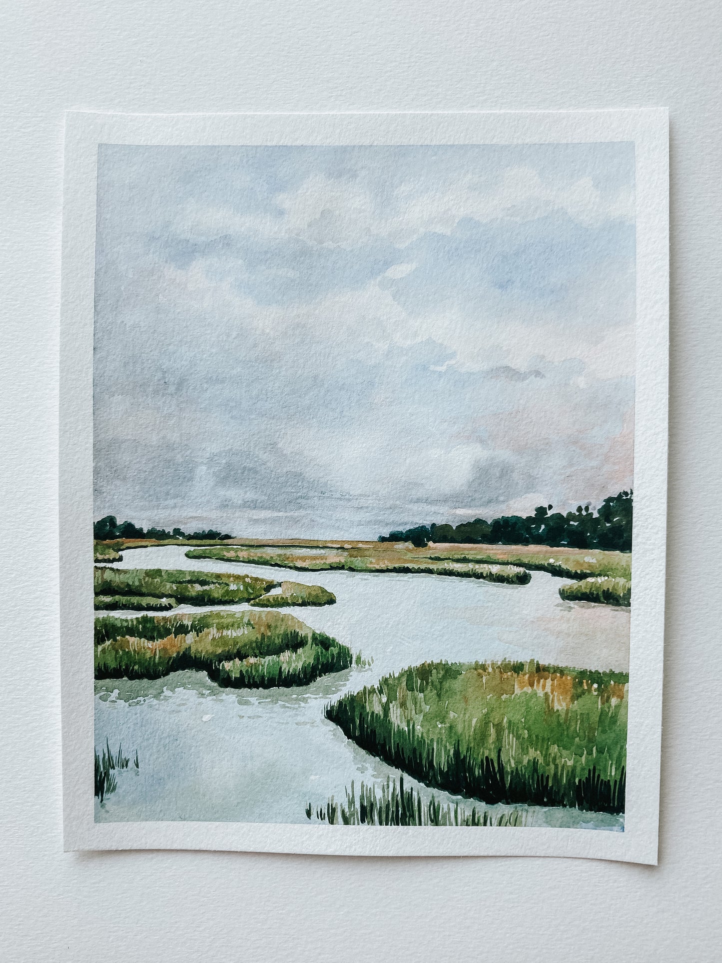 In The Lowcountry (Charleston, SC)