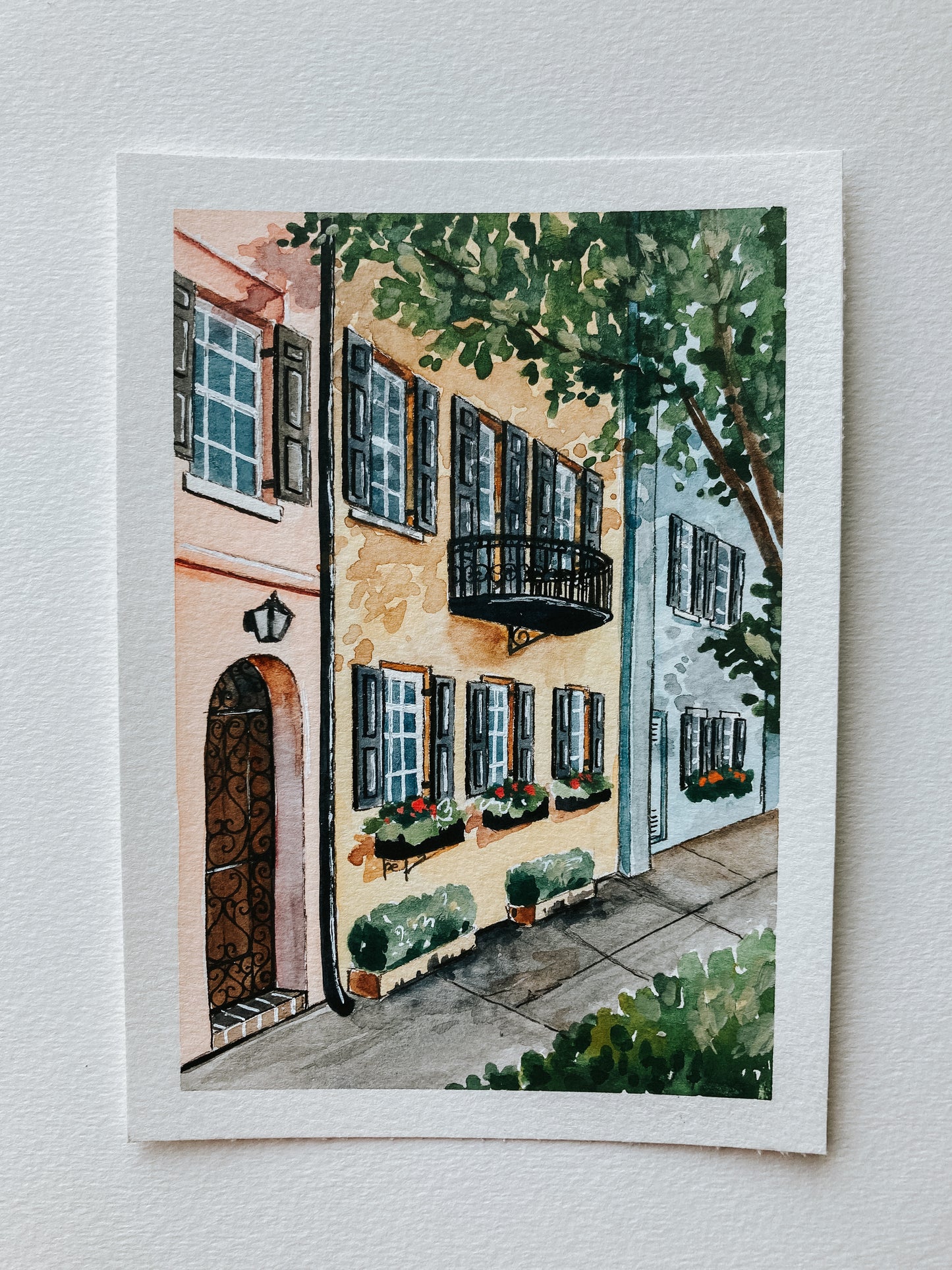 Hidden Rainbows (Charleston, SC)