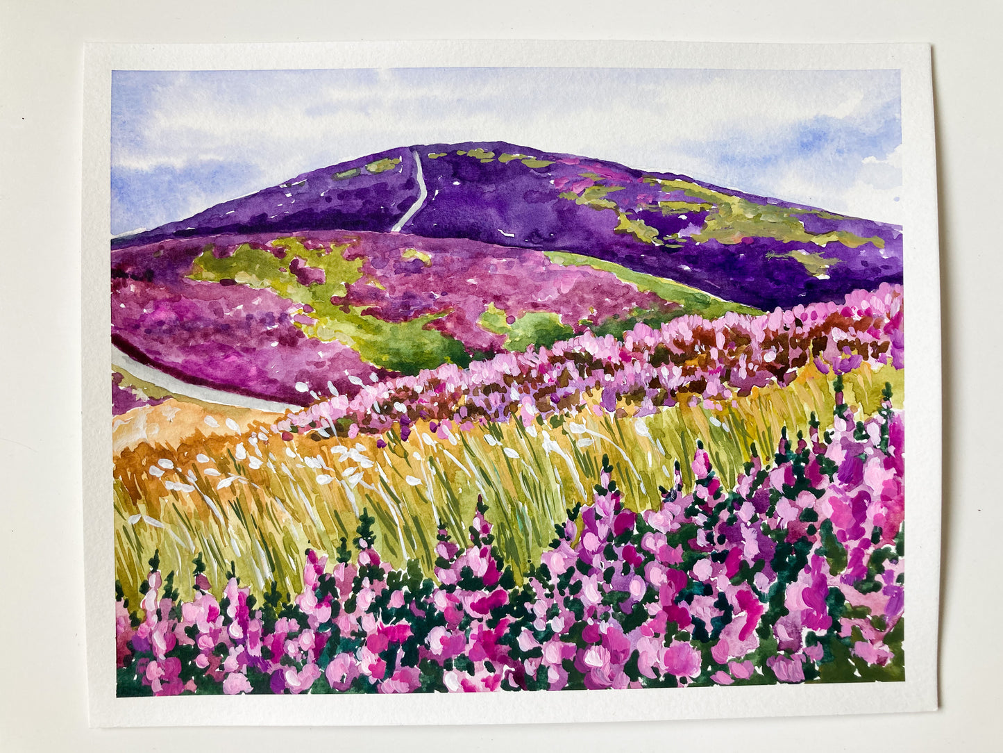 Fields of Heather