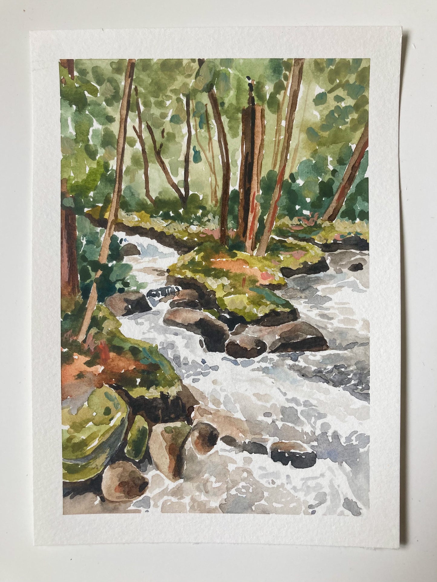 Smoky Mountain Waterfall Print