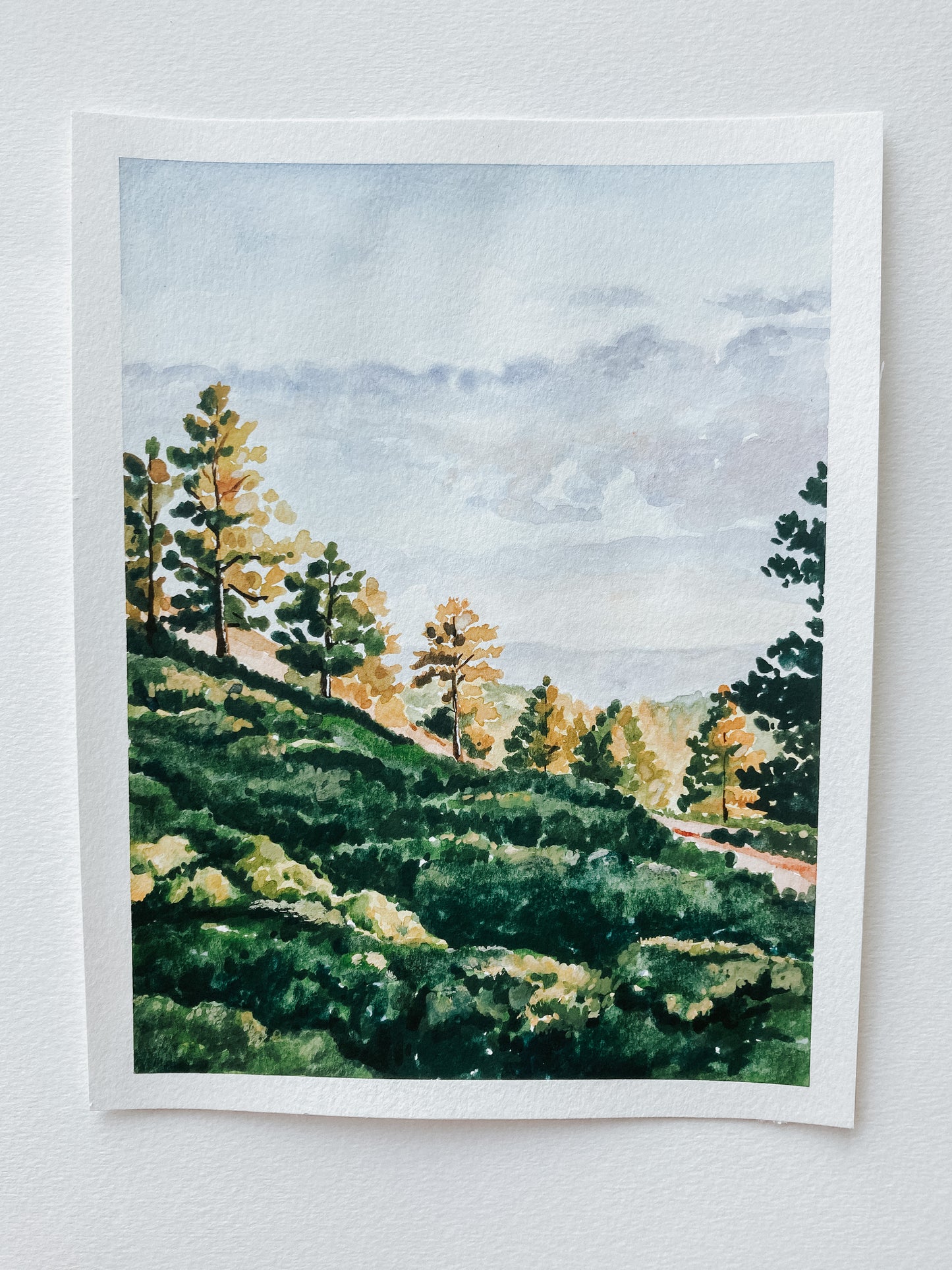 The Light Greets Me (Boise, ID)