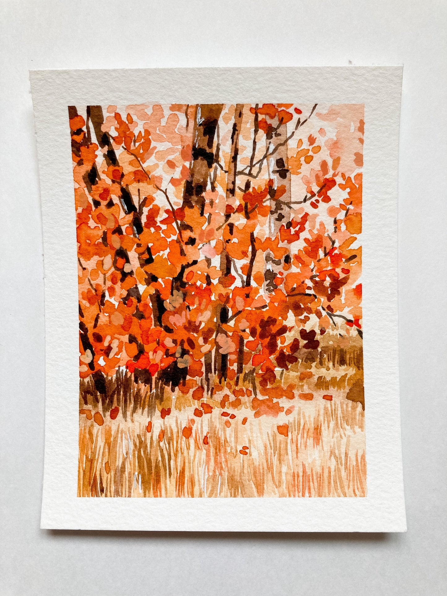 Aspens in Autumn Print
