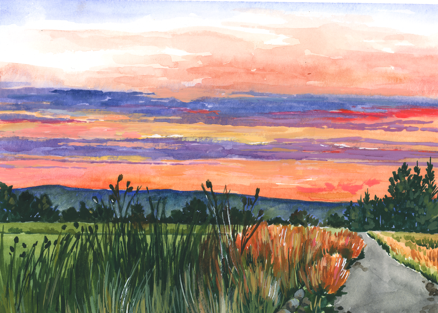 8x10" Landscape Misprints
