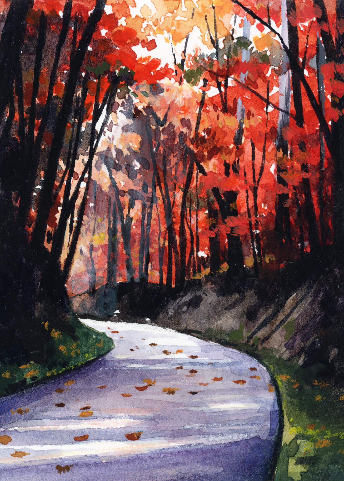8x10" Landscape Misprints