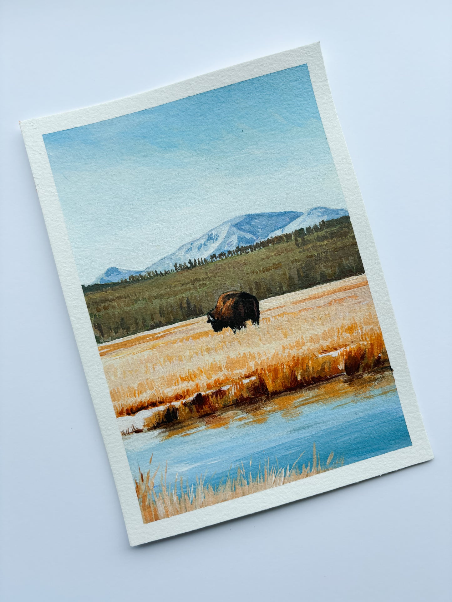 'The Lone Buffalo' (Yellowstone National Park) 5x7 inch original painting