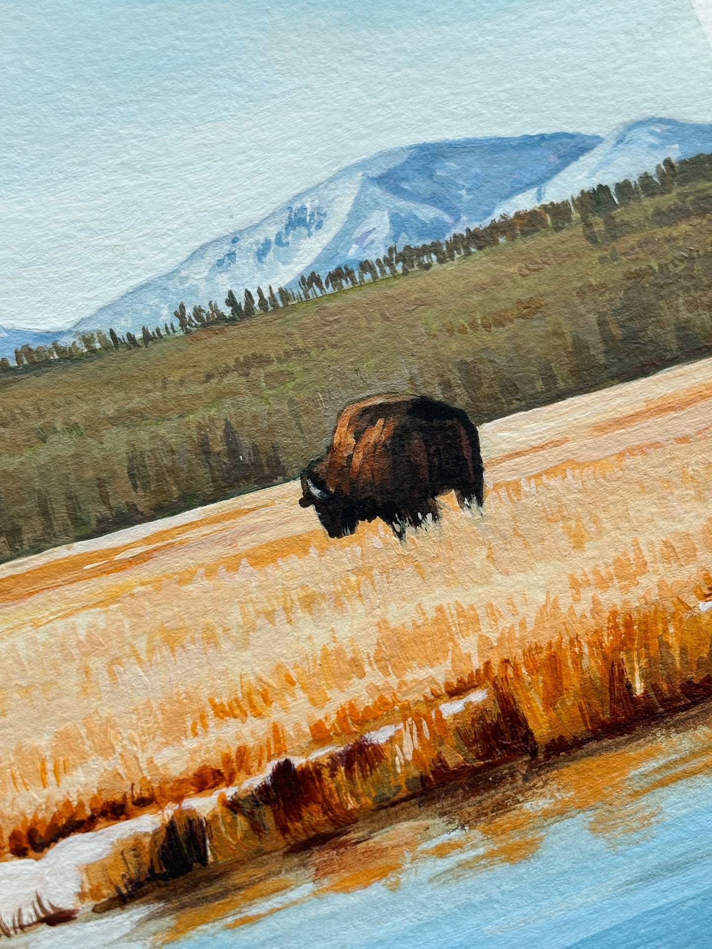 'The Lone Buffalo' (Yellowstone National Park) 5x7 inch original painting