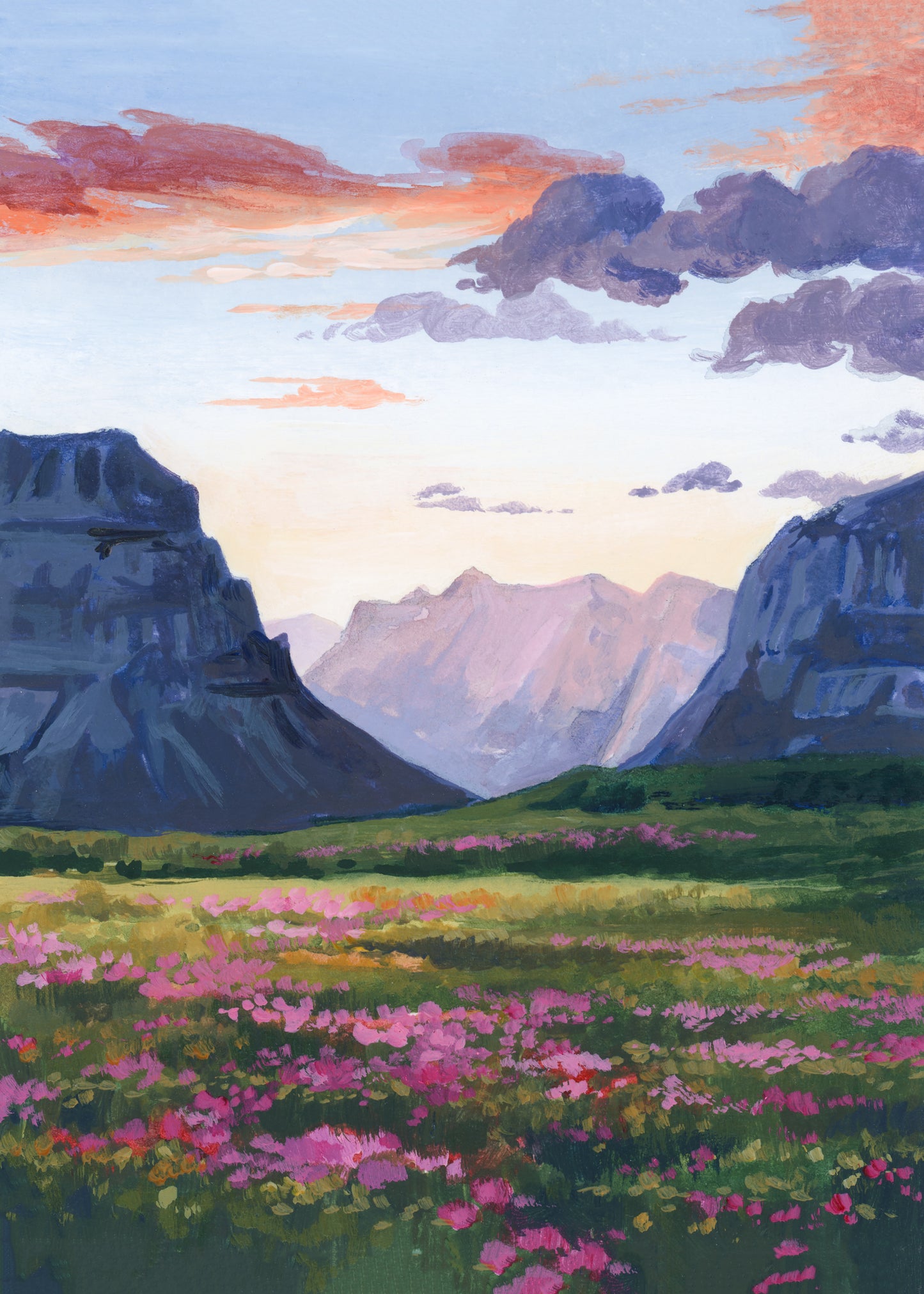 'As A Wildflower' (Glacier National Park) Print