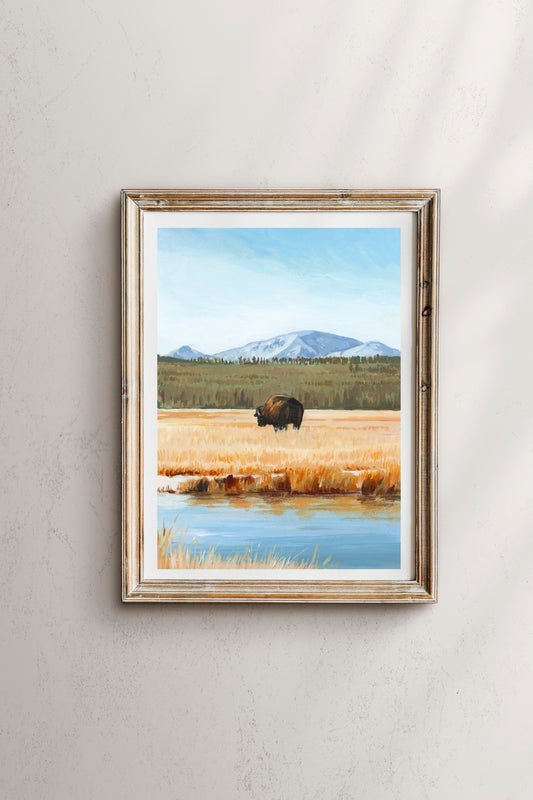 'The Lone Buffalo' (Yellowstone National Park) Print