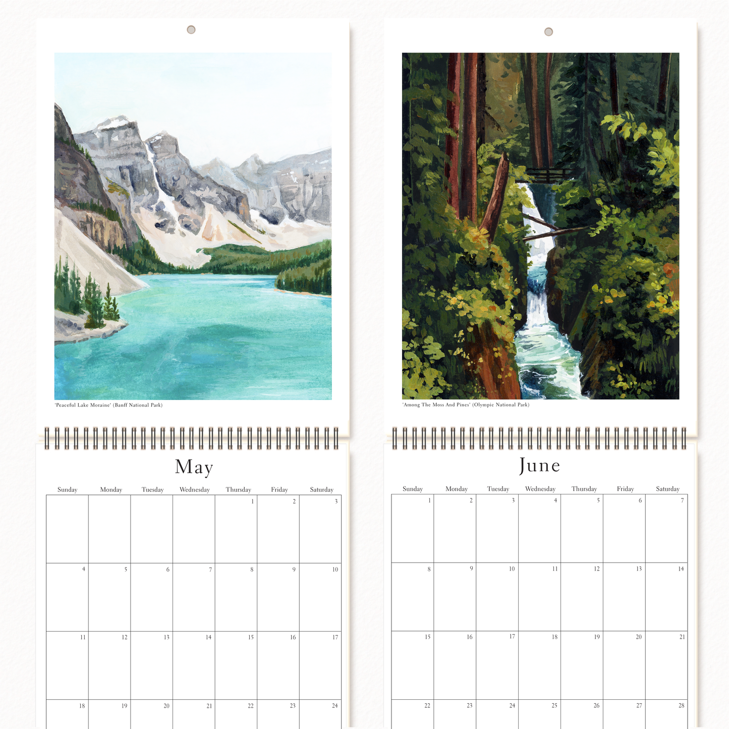 2025 Calendar Bundle *PREORDER*