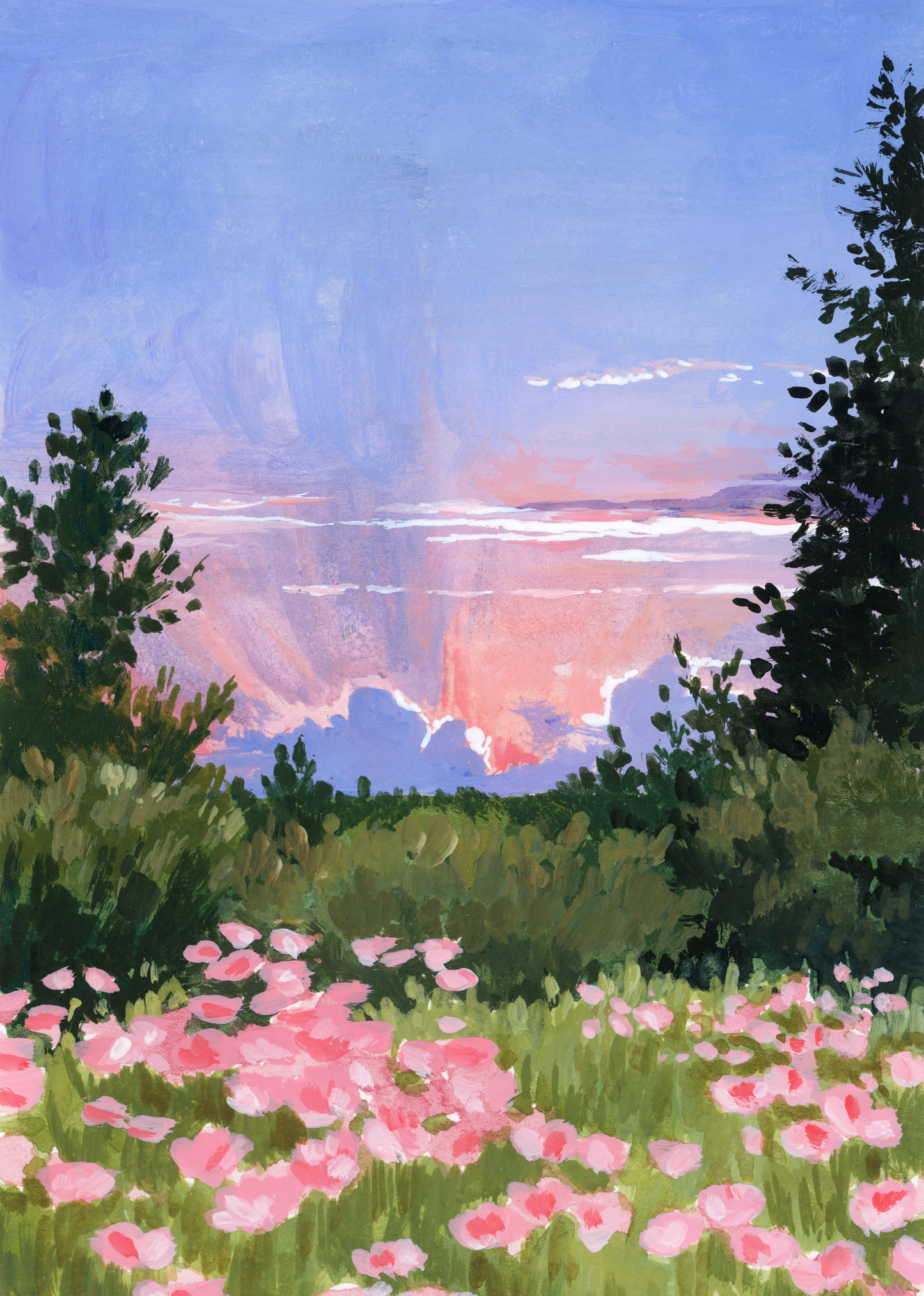 8x10" Landscape Misprints