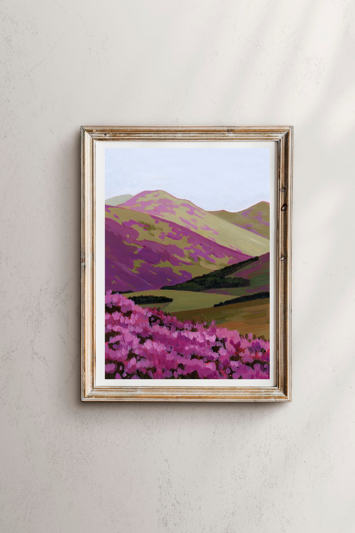 'Where The Heather Blooms' Print