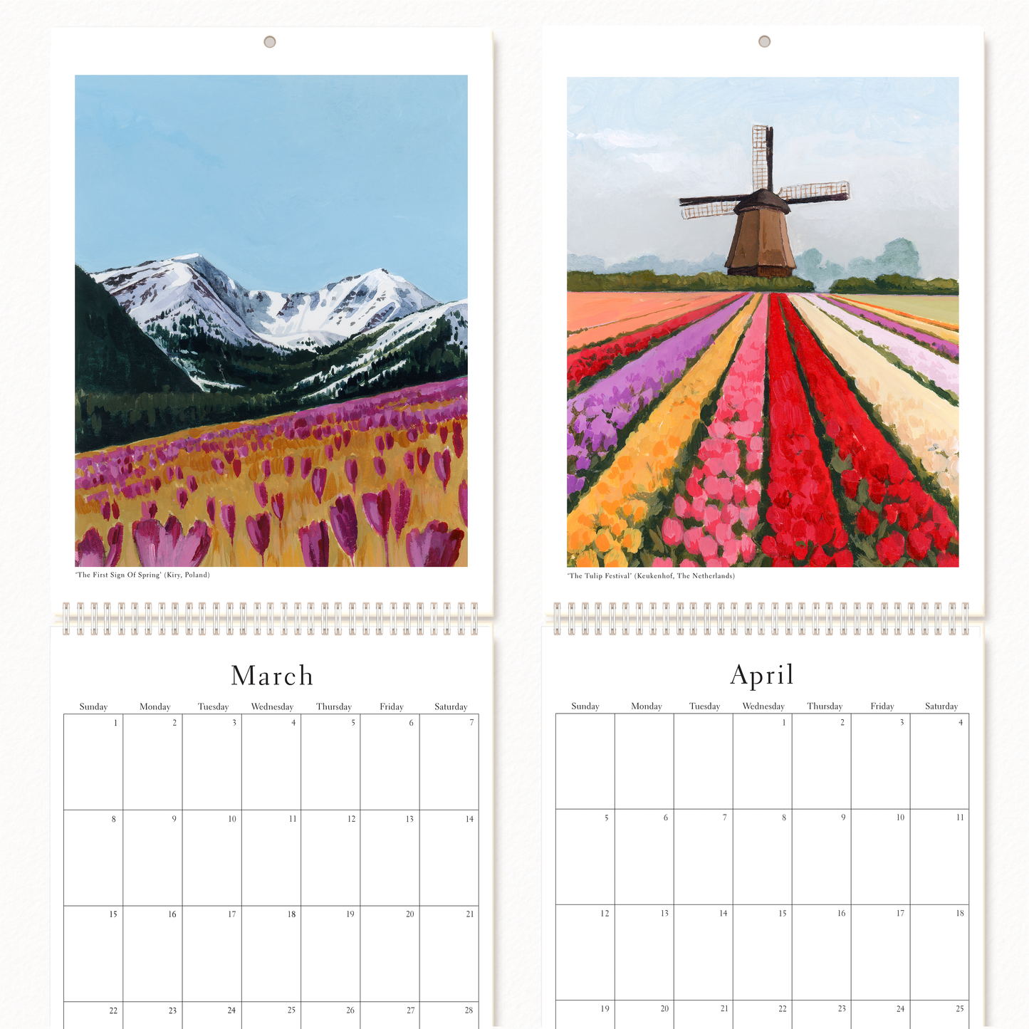 2026 Calendar Bundle