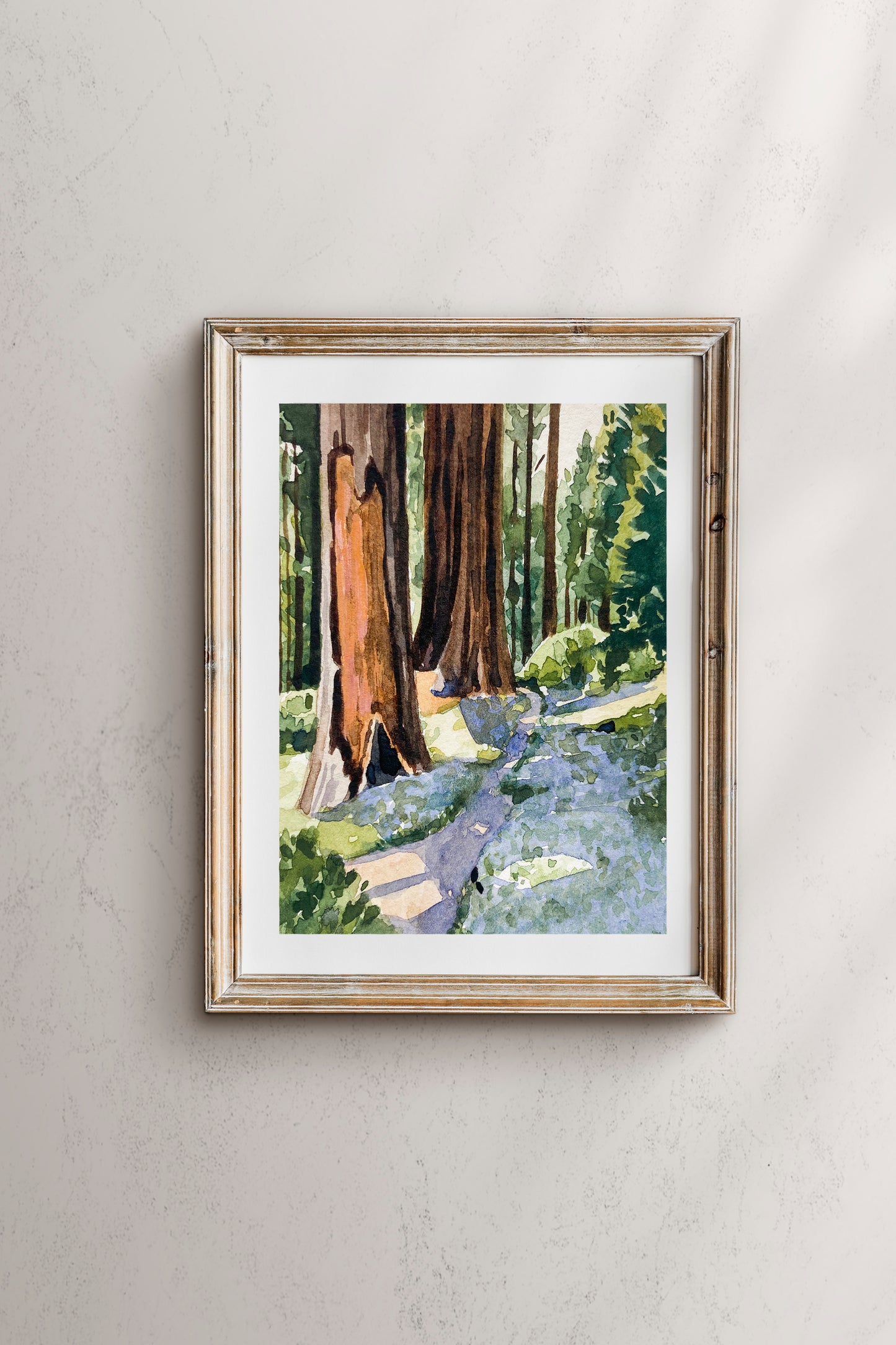 Redwood National Park print