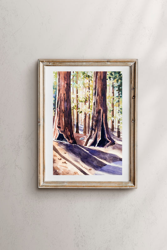 Sequoia National Park print